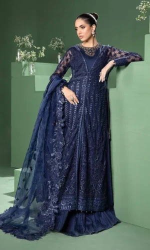 SF-W24-44 By Maria B Evening Wear