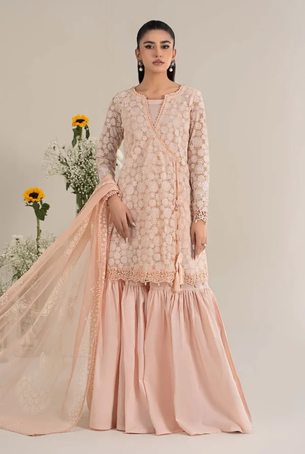 Maria B Luxury Pret | DW-EF25-100