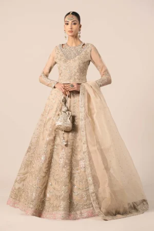 3 Piece Embroidered Organza Suit | SF-EF25-55