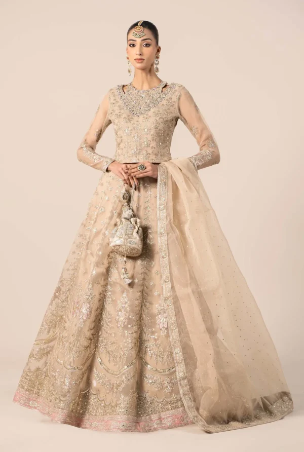 3 Piece Embroidered Organza Suit | SF-EF25-55