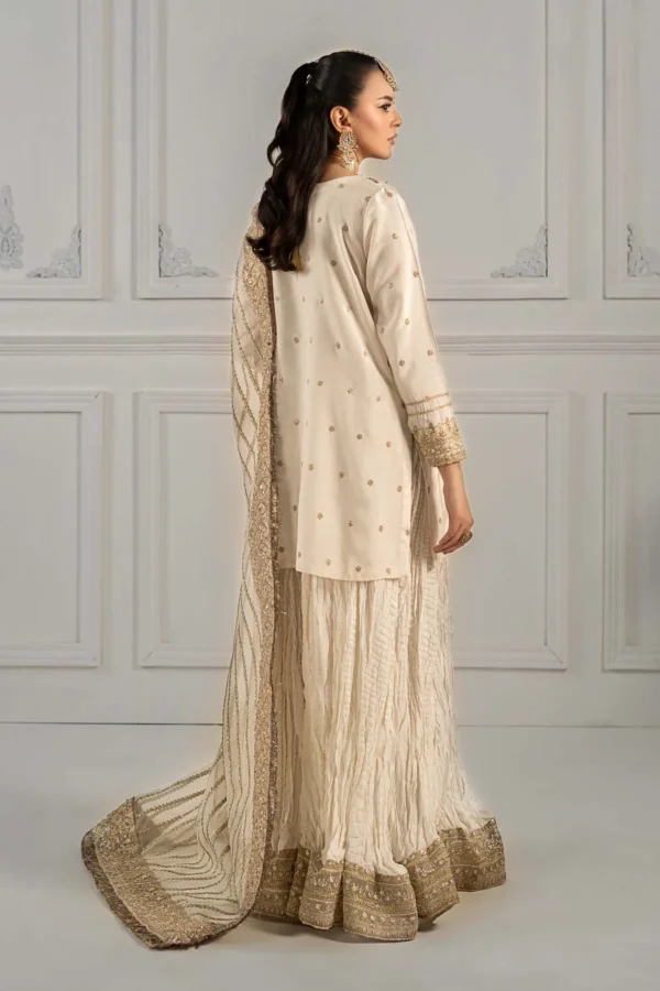 3 Piece Embroidered Raw Silk Suit | SF-EF25-25