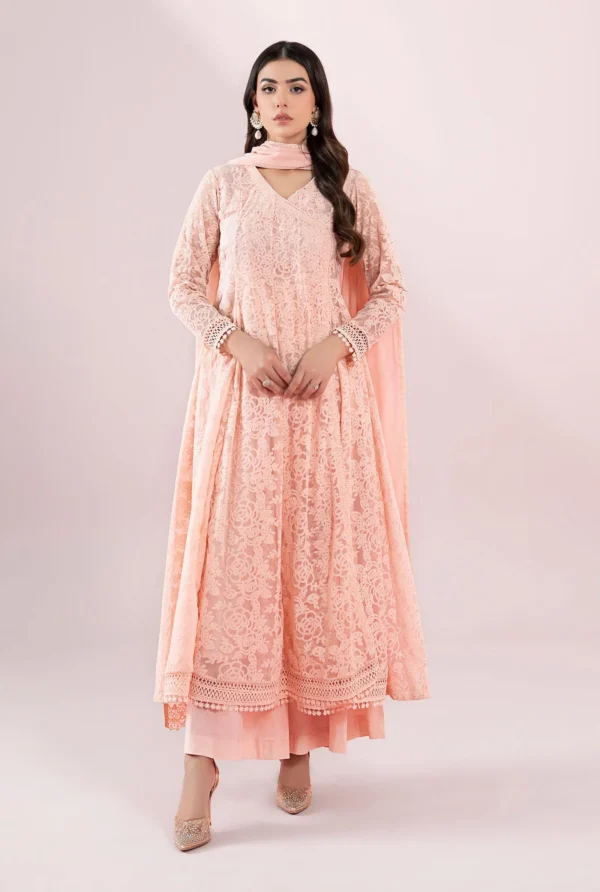 Maria B Luxury Pret | DW-EA25-124