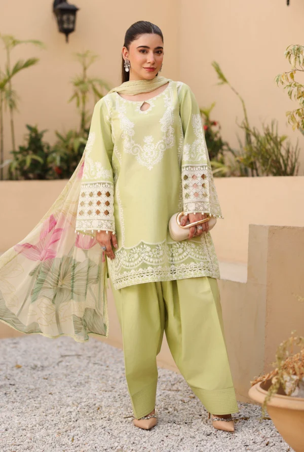 Maria B Luxury Pret | DW-EA25-66