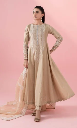 Maria B Luxury Pret | DW-EA25-37