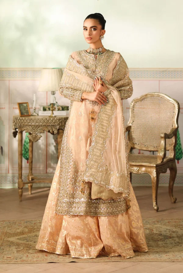 Maria B Luxury Formals | SF-EF25-66