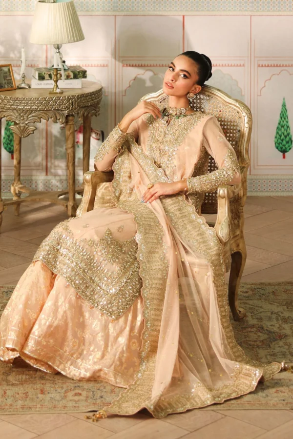 Maria B Luxury Formals | SF-EF25-66