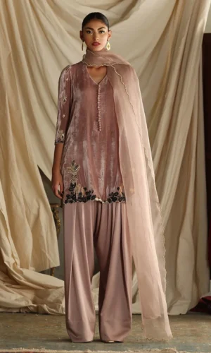 Rozina Munib Vistara Luxury Velvets - VV-30