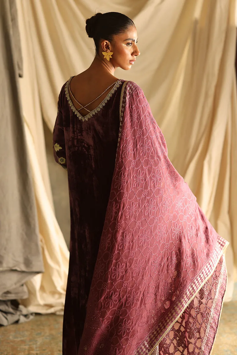 Rozina Munib Vistara Luxury Velvets - VV-32