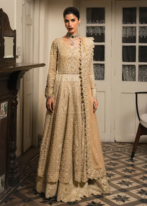 Saira Shakira Wedding Festive 26 - Moonveil